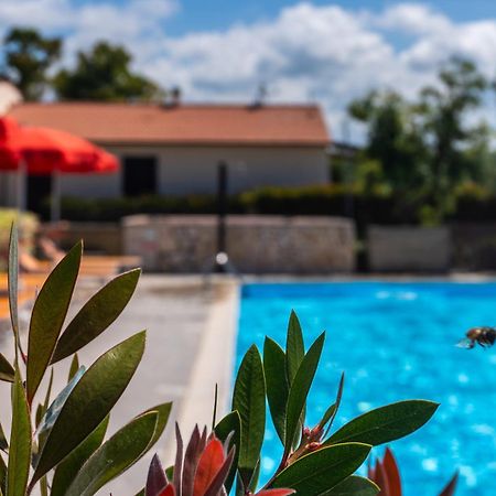 Agriturismo Il Tripesce فادا المظهر الخارجي الصورة