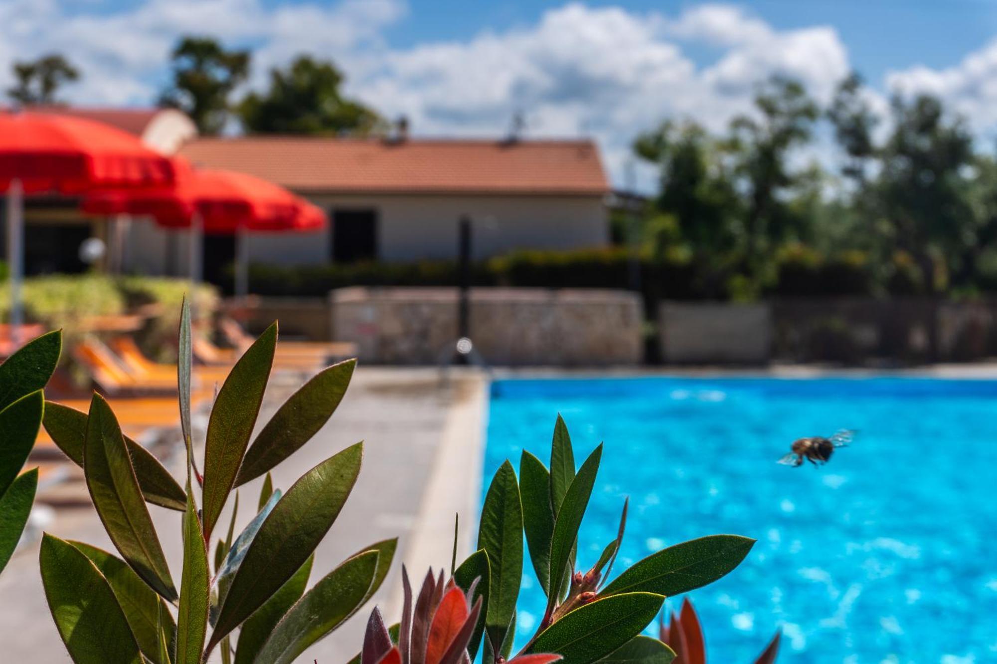 Agriturismo Il Tripesce فادا المظهر الخارجي الصورة