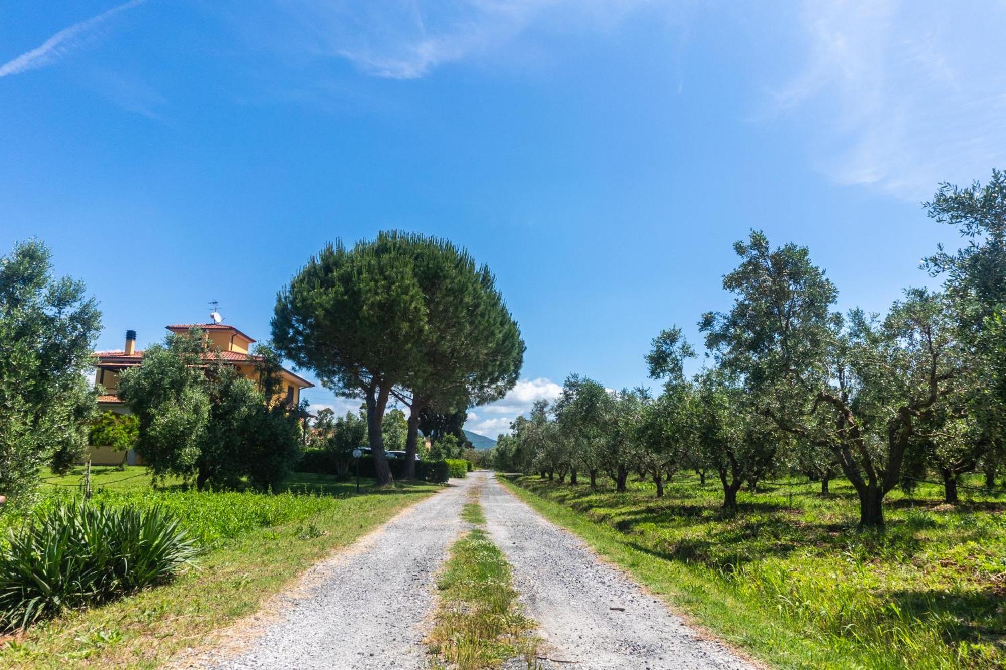 Agriturismo Il Tripesce فادا المظهر الخارجي الصورة