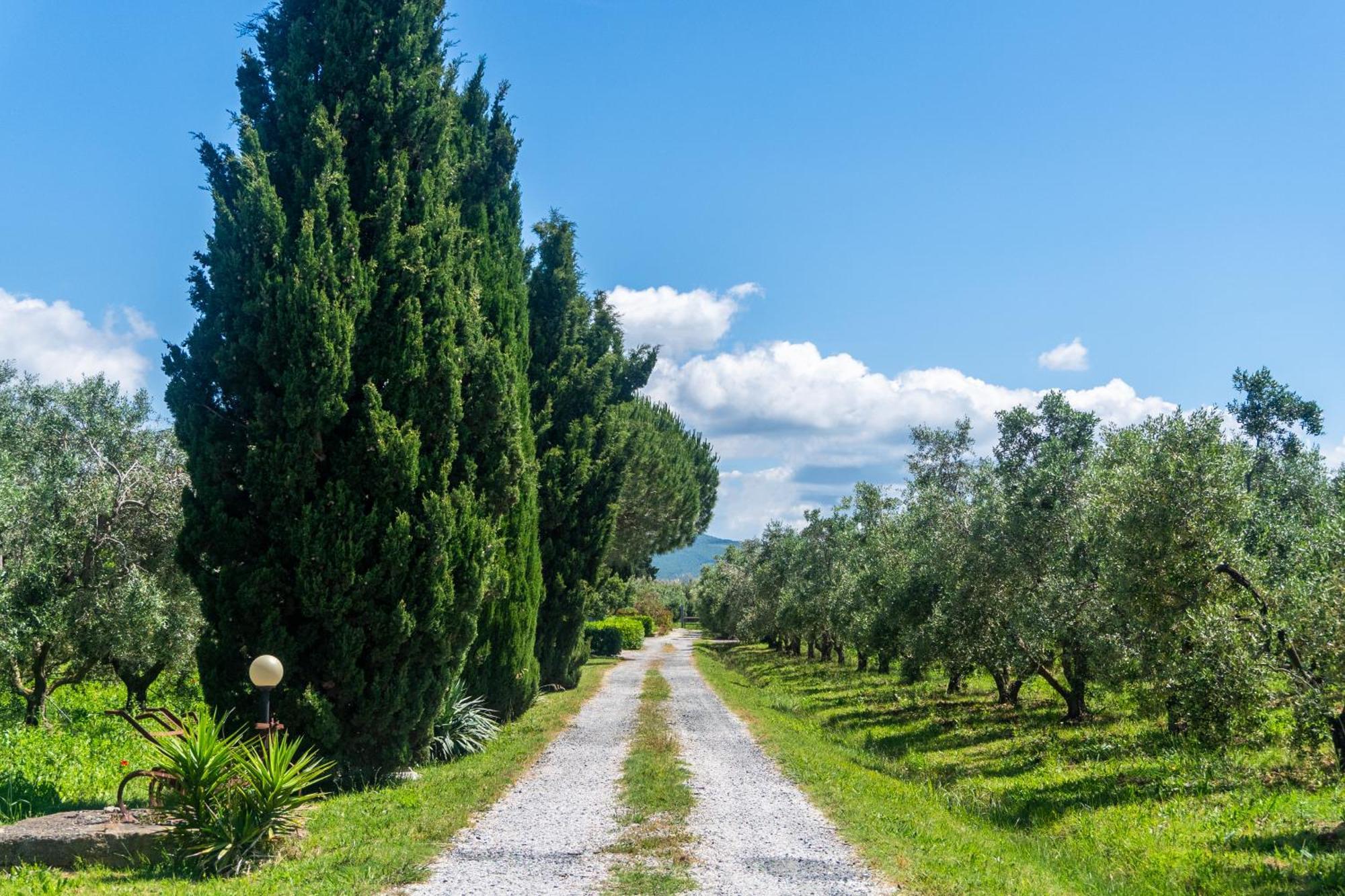 Agriturismo Il Tripesce فادا المظهر الخارجي الصورة