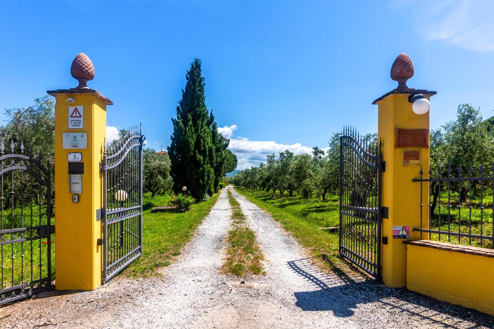 Agriturismo Il Tripesce فادا المظهر الخارجي الصورة