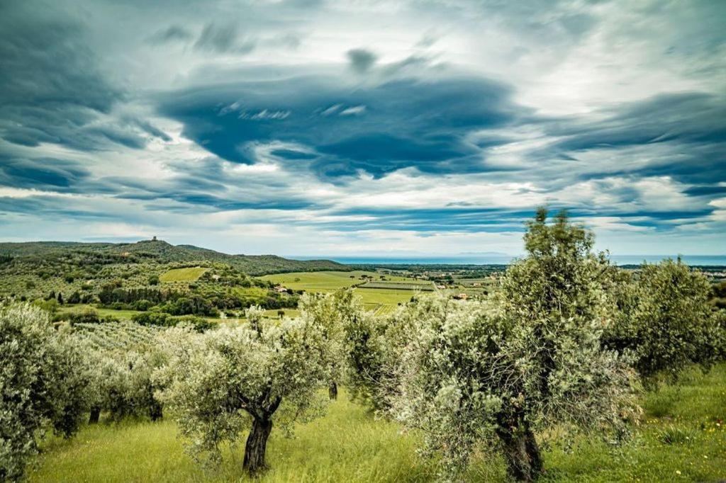 Agriturismo Il Tripesce فادا المظهر الخارجي الصورة
