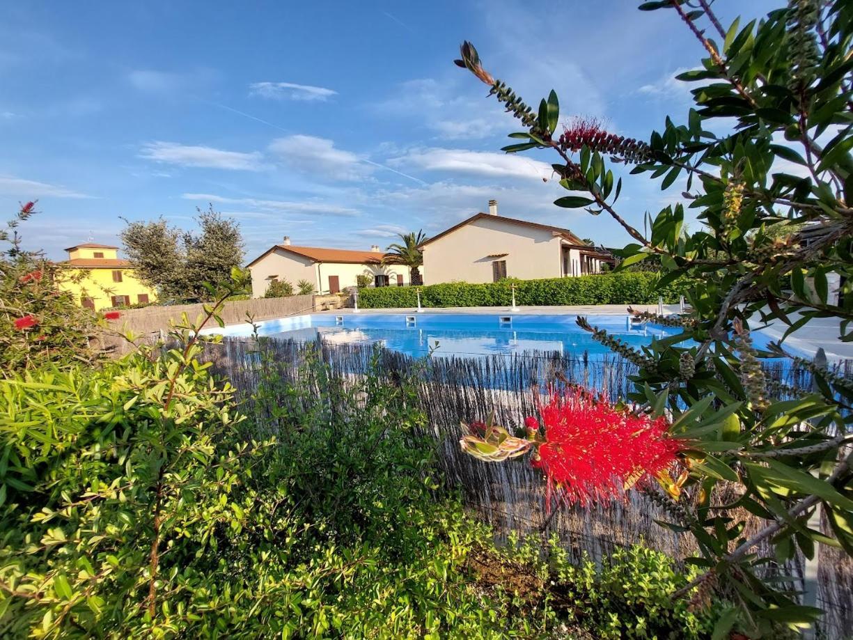 Agriturismo Il Tripesce فادا المظهر الخارجي الصورة