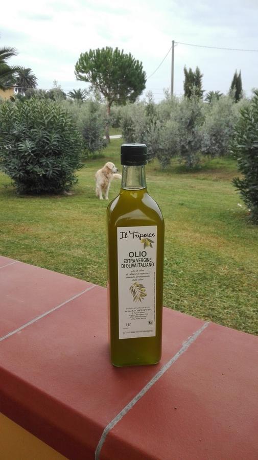 Agriturismo Il Tripesce فادا المظهر الخارجي الصورة